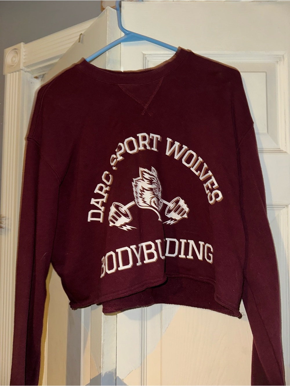 Darc Sport Maroon Graphic Cropped crew